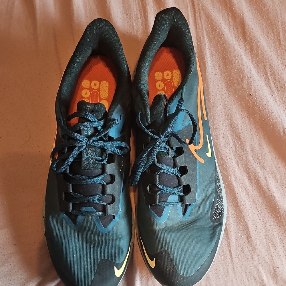 Pegasus 30 Nike Blue and Orange Running Shoes NWOT